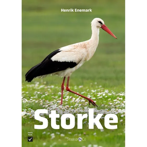 Storke – Børnebog med historier om hvide stork i sommeren