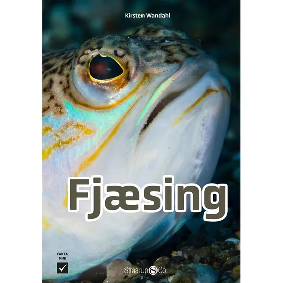Fjæsing – Giftig rovfisk fra kystens lavvande