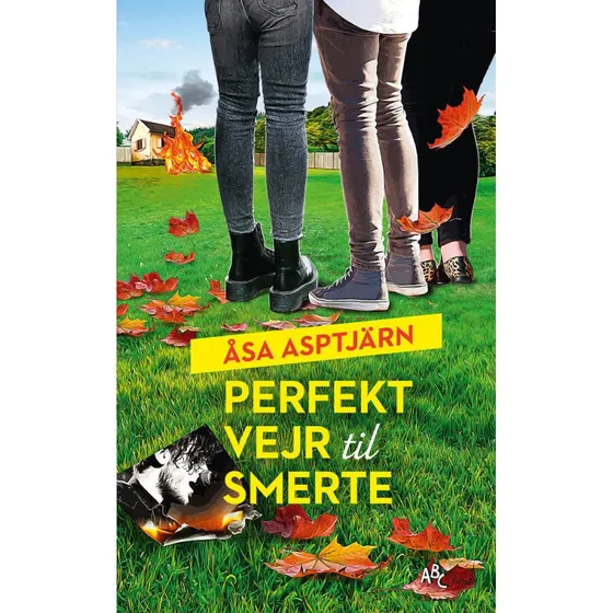 Åsa Asptjärn: Perfekt vejr til smerte