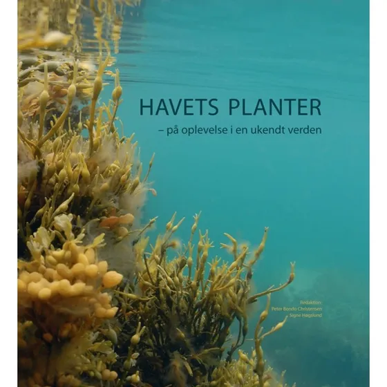 Havets Planter - Peter Bondo Christensen & Signe Høgslund