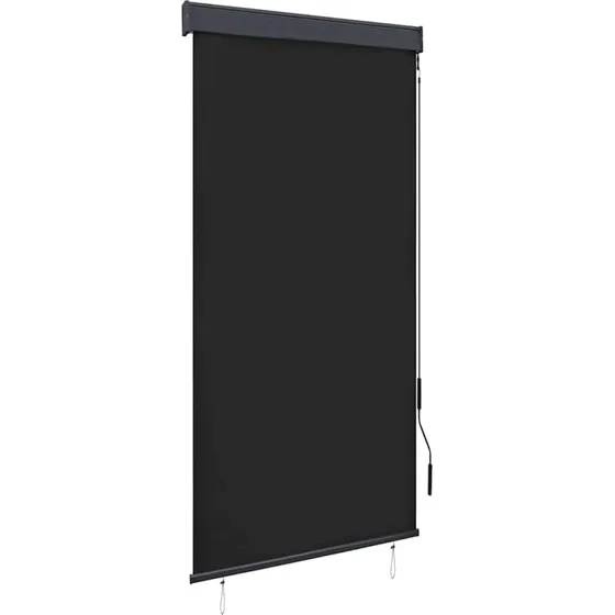 vidaXL Udendørs Rullegardin 100x250 cm Antracitgrå med Håndsving