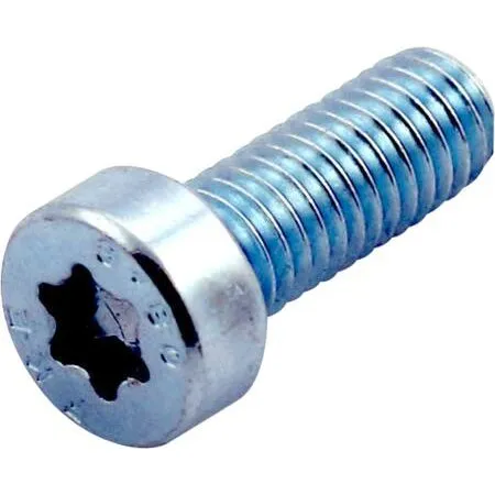 100 Cylinderskrue Torx Lavt Hoved