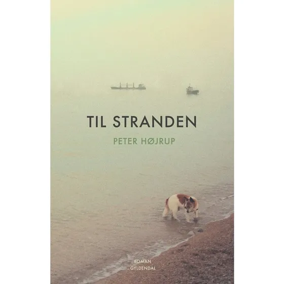 Til stranden - Peter Højrup