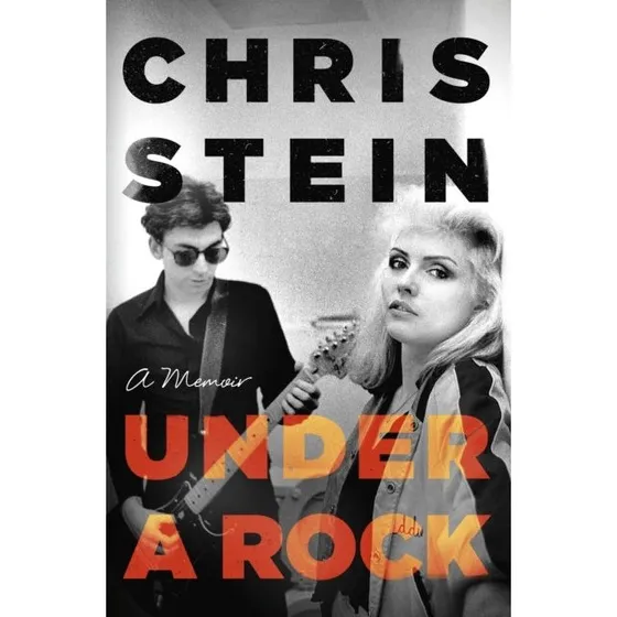 Under a Rock – Chris Stein