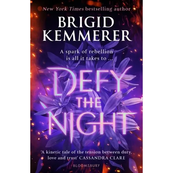 Defy the Night - Brigid Kemmerer