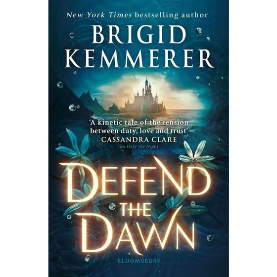 Defend the Dawn – Brigid Kemmerer