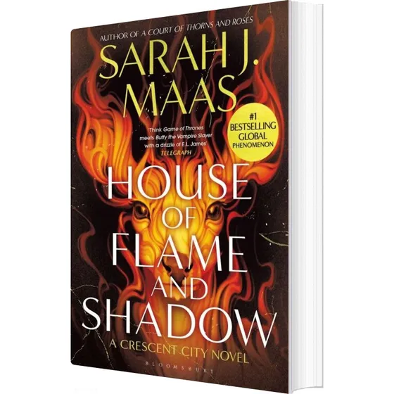 Sarah J. Maas - House of Flame and Shadow
