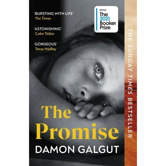 Damon Galgut - The Promise
