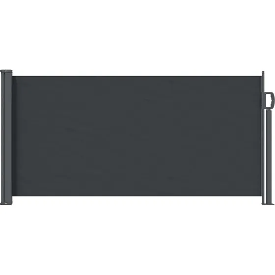 vidaXL Udtrækkeligt Side-Markise Sort 300 x 100 cm