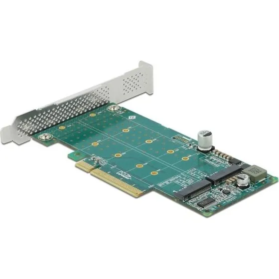 DeLOCK PCIe x8 til 2 x NVMe M.2 Key M Adapter