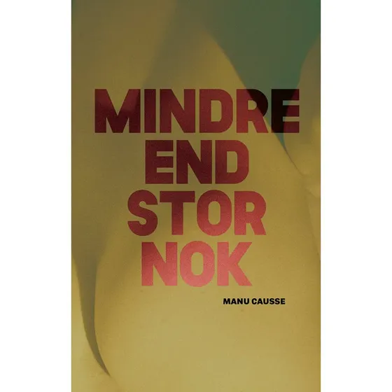 Manu Causse - Mindre end stor nok