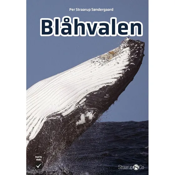 Blåhvalen - Per Straarup Søndergaard