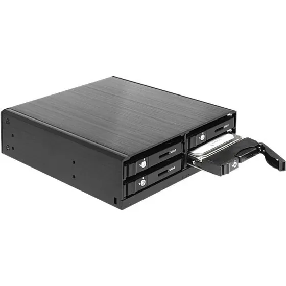 DeLOCK Hus til 4 x 2.5" SATA HDD/SSD, Sort
