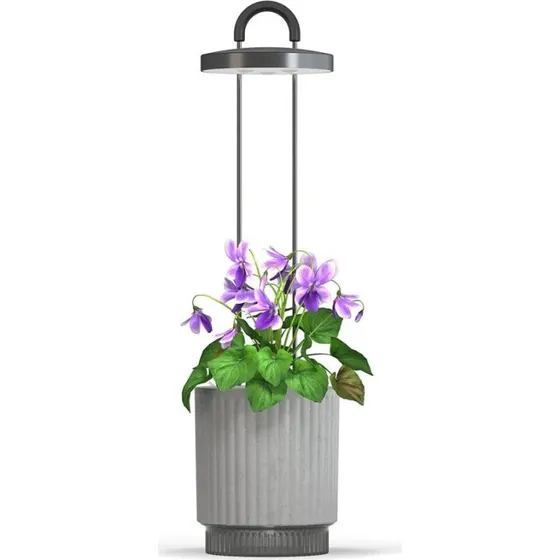 Click & Grow HydroVase Indoor Plant Care Kit med LED-Lys og Automatisk Timer - Grå
