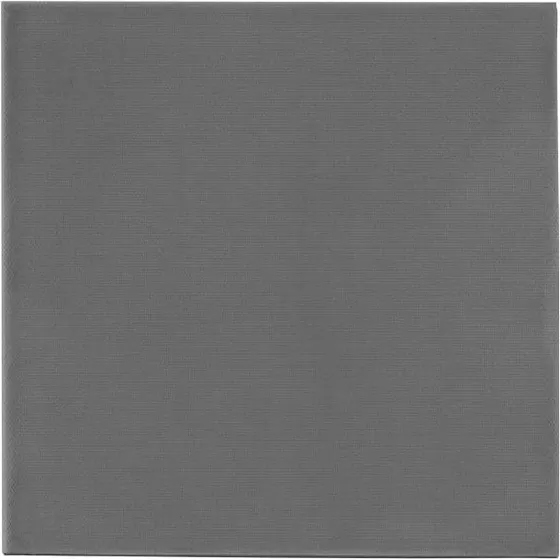 Thermal Grizzly Minus Pad Extreme 2, 100×100×2 mm, grå