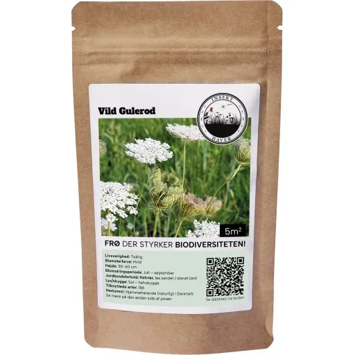 Blomsterfrø Vild Gulerod - 5 m²
