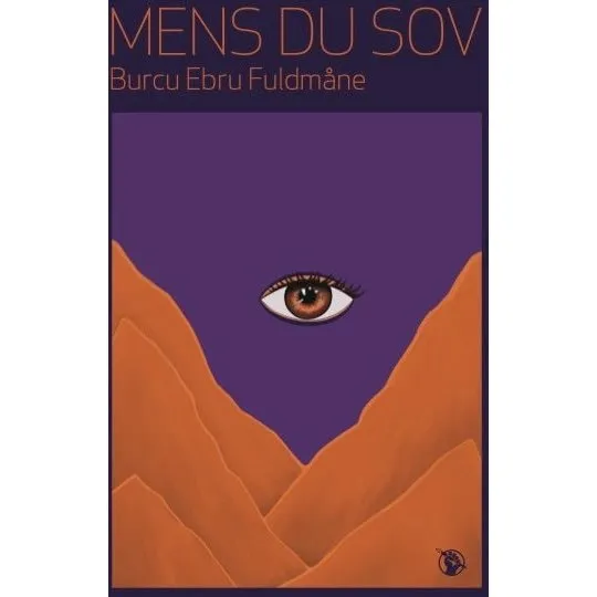 Mens du sov - Burcu Ebru Fuldmåne (Bog)