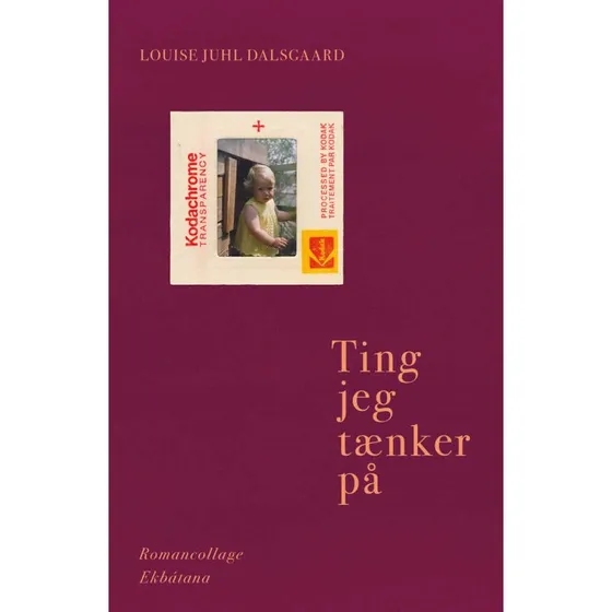 Ting jeg tænker på - Louise Juhl Dalsgaard - Bog