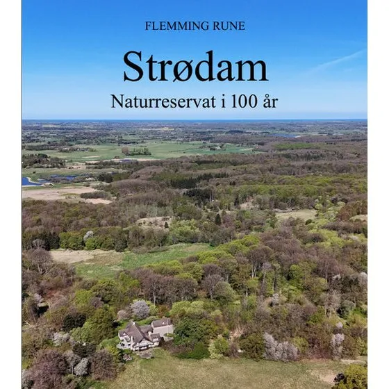 Strødam - Flemming Rune - Bog