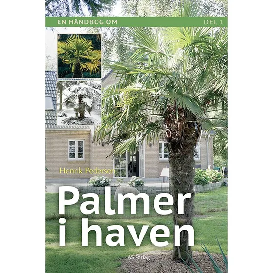 Palmer i haven af Henrik Pedersen