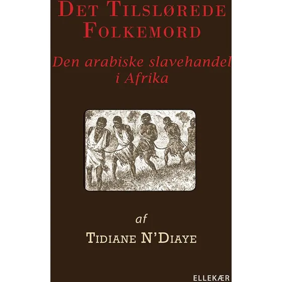 Det tilslørede folkemord - Tidiane N'Diaye