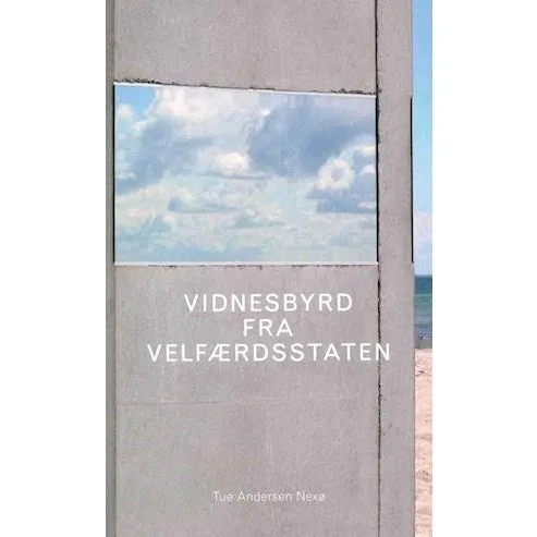 Vidnesbyrd fra velfærdsstaten - Tue Andersen Nexø - Bog