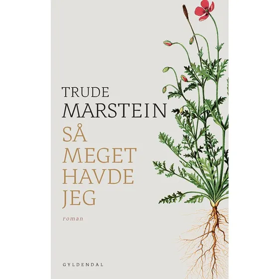 Så meget havde jeg - Trude Marstein (Bog)