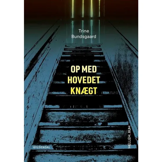 Mellem_rum. Op med hovedet knægt - Trine Bundsgaard
