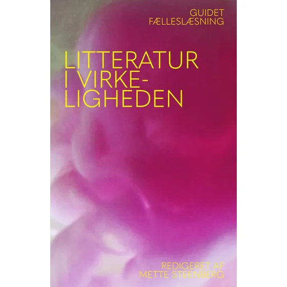 Litteratur i virkeligheden - Anne Line Dalgård, Helene Forsberg-Madsen & Mette Steenberg