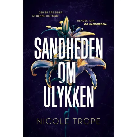 Sandheden om ulykken - Nicole Trope