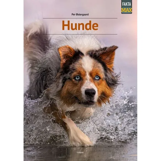 Hunde - Per Østergaard - Bog