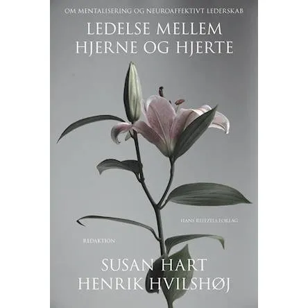 Ledelse mellem hjerne og hjerte - Hanne Dalsgaard m.fl. - Bog