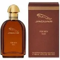 Jaguar Oud For Men Eau de Parfum 100 ml