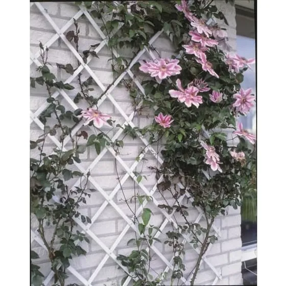 Hvid udvidelig espalier i plast - 50x150 cm