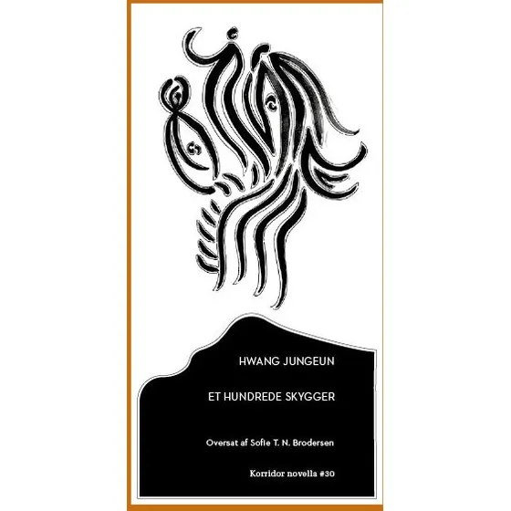 Et hundrede skygger - Hwang Jungeun - Bog