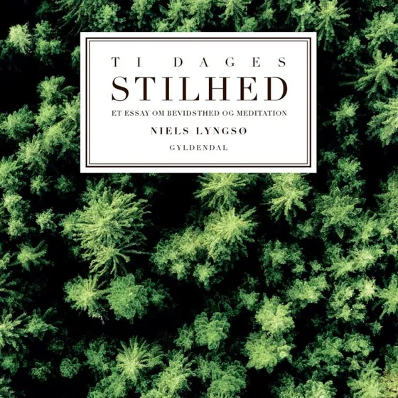 Ti dages stilhed - Niels Lyngsø (Lydbog)
