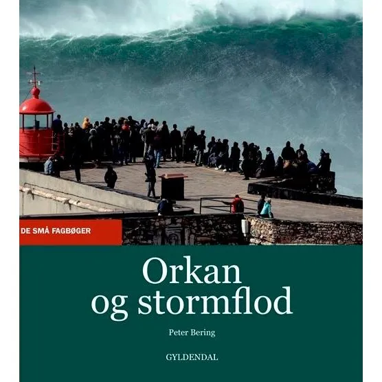 Orkan og stormflod - Peter Bering