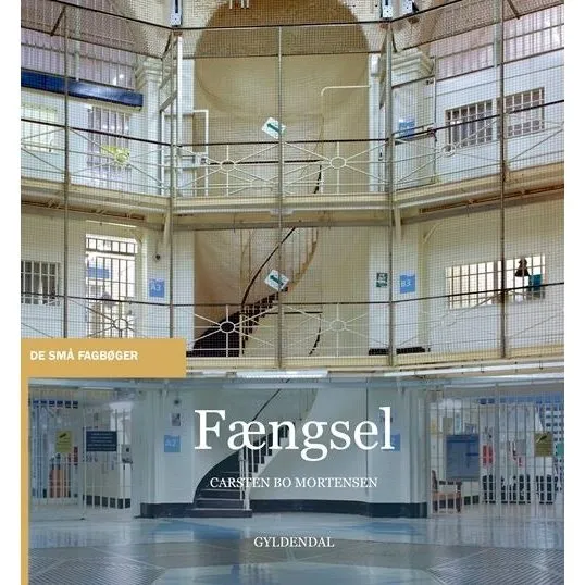 Fængsel - Carsten Bo Mortensen (De små fagbøger)