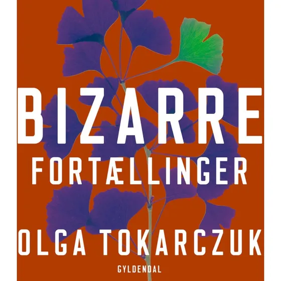 Bizarre fortællinger - Olga Tokarczuk