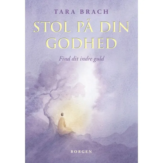 Stol på din godhed af Tara Brach