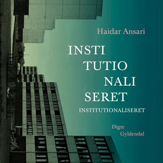 Institutionaliseret - Haidar Ansari