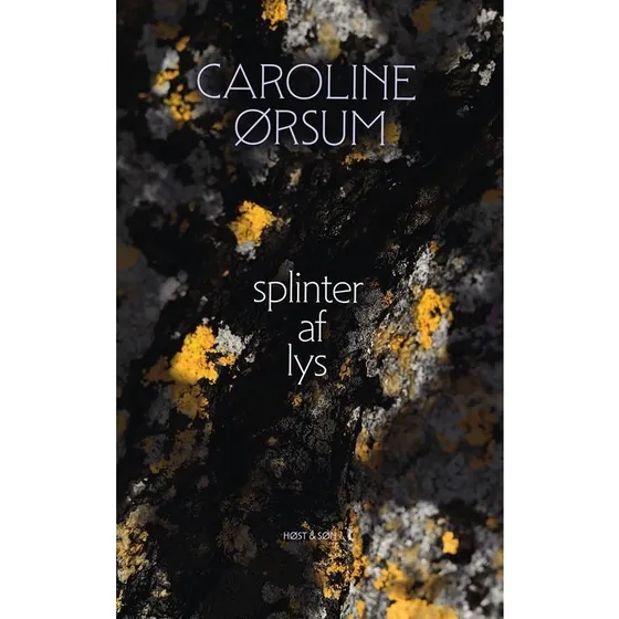 Splinter af lys - Caroline Ørsum