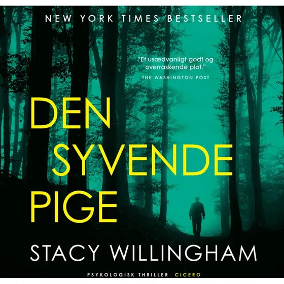 Den syvende pige af Stacy Willingham
