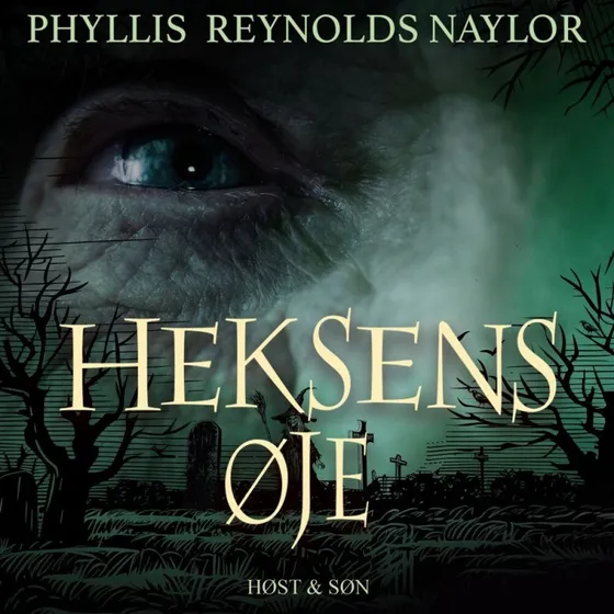 Heksens øje - Phyllis Reynolds Naylor (Lydbog)