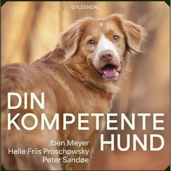 Din kompetente hund - Helle Friis Proschowsky, Iben Meyer & Peter Sandøe