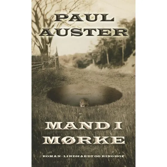 Mand i mørke - Paul Auster