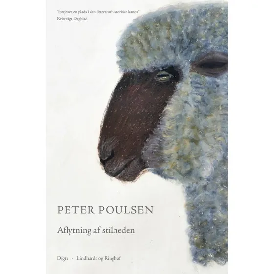 Aflytning af stilheden - Peter Poulsen