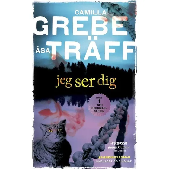 Jeg ser dig - Camilla Grebe & Åsa Träff (Krimi)