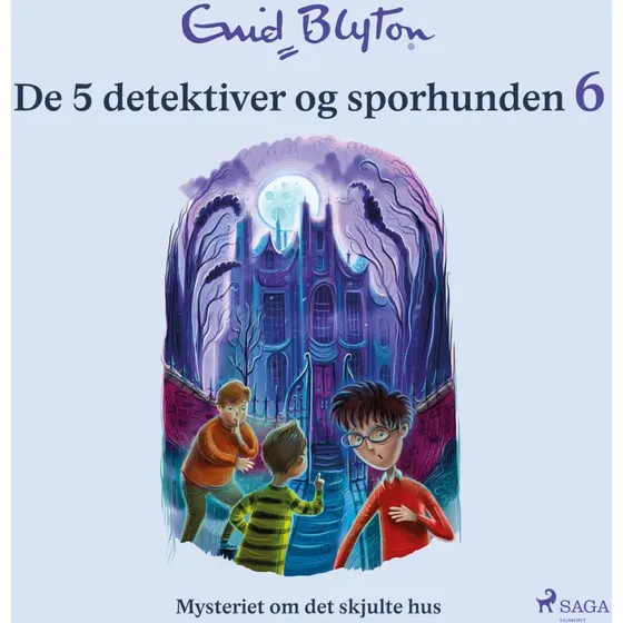De 5 detektiver og sporhunden 6 - Mysteriet om det skjulte hus