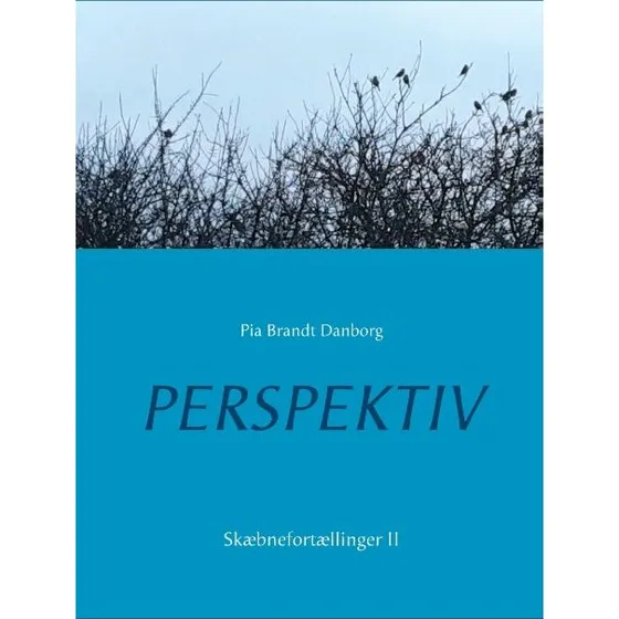 Perspektiv af Pia Brandt Danborg